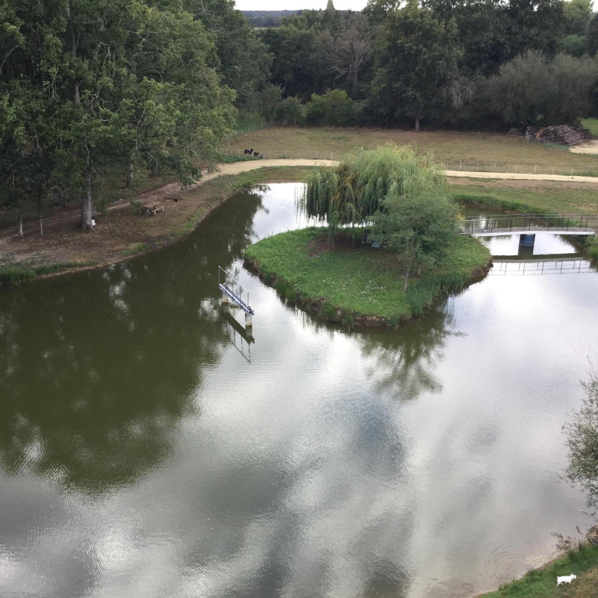 Colibri Loc - Insolite - 3 Etoiles - Parc - Etang - Familles - Soiree Ok Brigne ภายนอก รูปภาพ