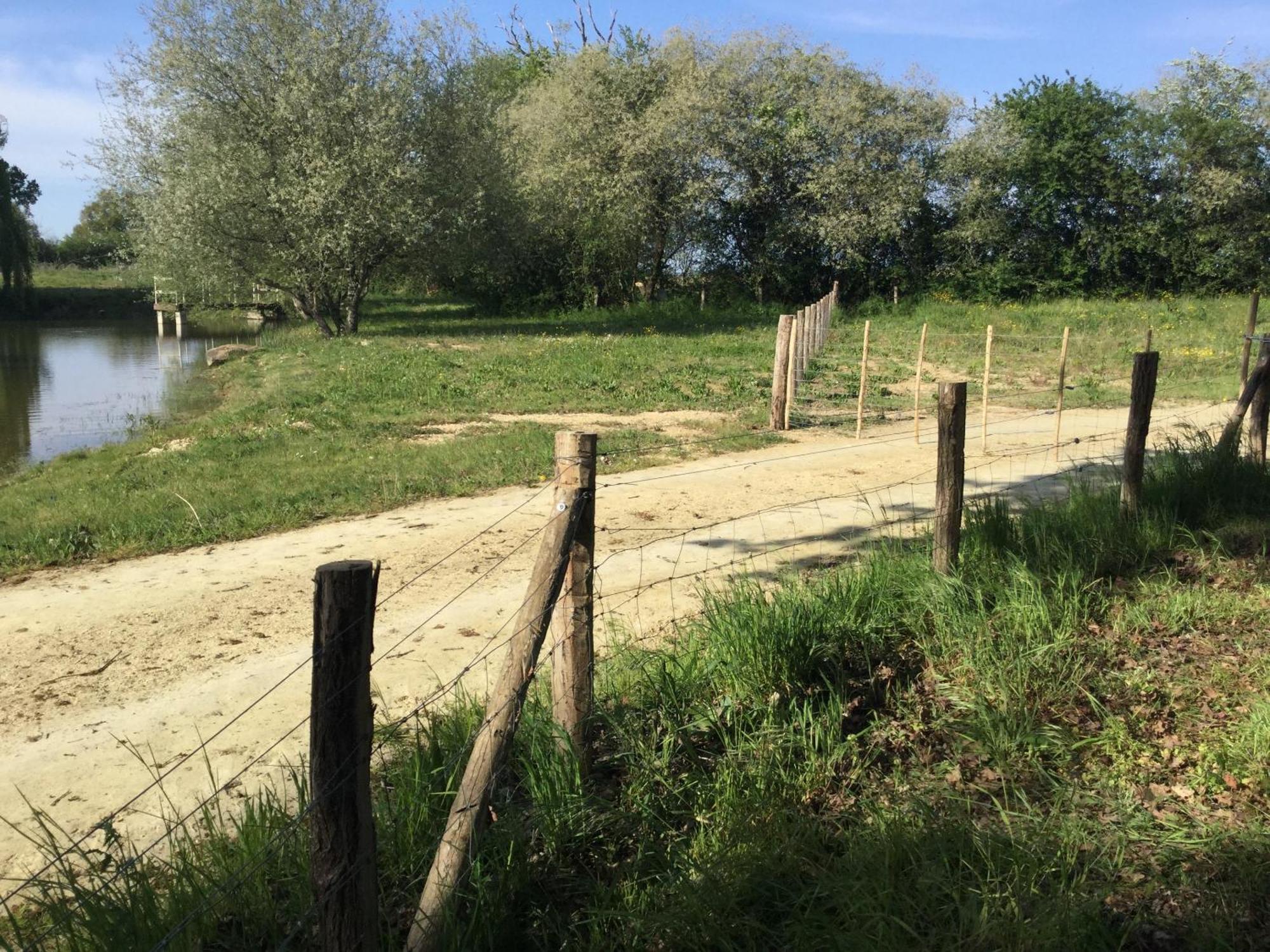 Colibri Loc - Insolite - 3 Etoiles - Parc - Etang - Familles - Soiree Ok Brigne ภายนอก รูปภาพ